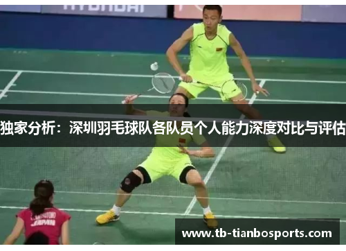 独家分析：深圳羽毛球队各队员个人能力深度对比与评估